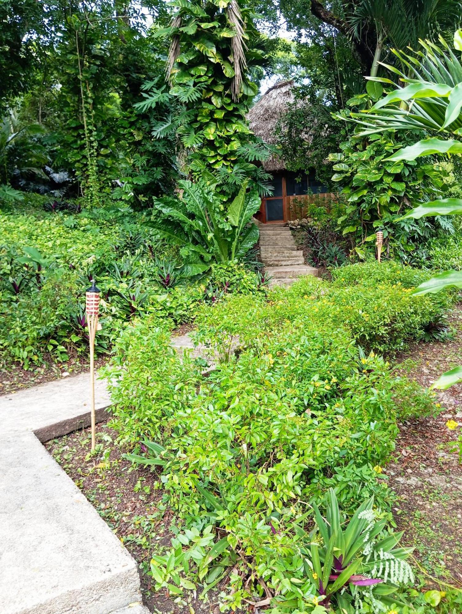 Maya Mountain Lodge San Ignacio Exterior photo
